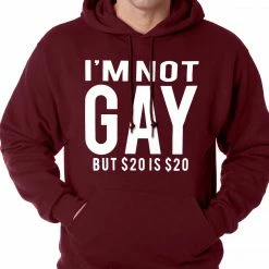 Bewild I'm Not Gay But 20 Dollars Is 20 Dollars Adult Hoodie Cool Funny & Offensive 16 Bewild I'm Not Gay But 20 Dollars Is 20 Dollars Adult Hoodie Cool Funny & Offensive