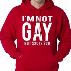 Bewild I'm Not Gay But 20 Dollars Is 20 Dollars Adult Hoodie Cool Funny & Offensive 18 Bewild I'm Not Gay But 20 Dollars Is 20 Dollars Adult Hoodie Cool Funny & Offensive