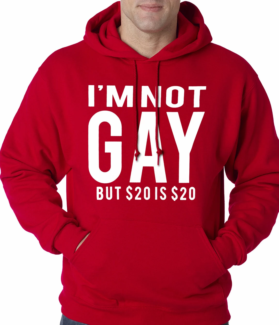 Bewild I'm Not Gay But 20 Dollars Is 20 Dollars Adult Hoodie Cool Funny & Offensive 10 Bewild I'm Not Gay But 20 Dollars Is 20 Dollars Adult Hoodie Cool Funny & Offensive