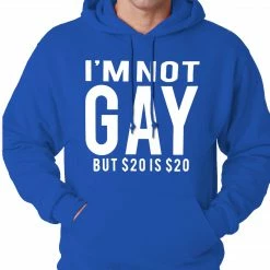 Bewild I'm Not Gay But 20 Dollars Is 20 Dollars Adult Hoodie Cool Funny & Offensive 19 Bewild I'm Not Gay But 20 Dollars Is 20 Dollars Adult Hoodie Cool Funny & Offensive