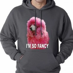 Bewild I'm So Fancy - Pink Poodle Adult Hoodie Cool Funny & Offensive