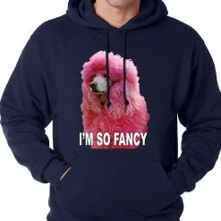 Bewild I'm So Fancy - Pink Poodle Adult Hoodie Cool Funny & Offensive