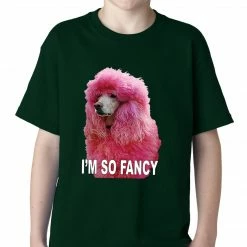 Bewild Cool Funny & Offensive I'm So Fancy - Pink Poodle Kids T-shirt