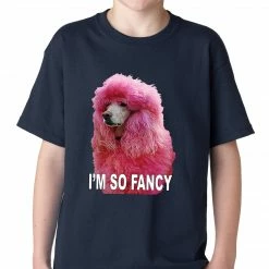 Bewild Cool Funny & Offensive I'm So Fancy - Pink Poodle Kids T-shirt