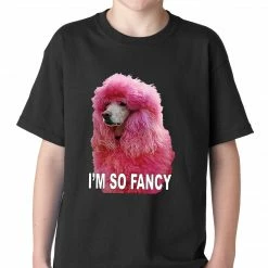 Bewild Cool Funny & Offensive I'm So Fancy - Pink Poodle Kids T-shirt