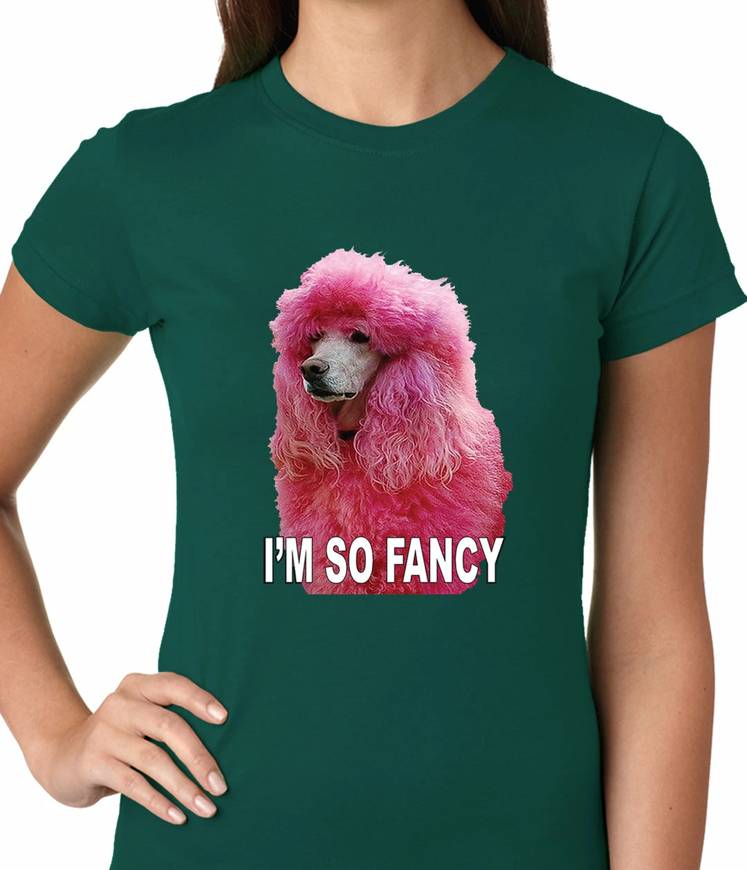 Bewild I'm So Fancy - Pink Poodle Ladies T-shirt Cool Funny & Offensive 5 Bewild I'm So Fancy - Pink Poodle Ladies T-shirt Cool Funny & Offensive