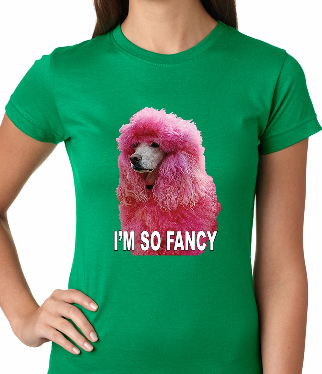 Bewild I'm So Fancy - Pink Poodle Ladies T-shirt Cool Funny & Offensive 8 Bewild I'm So Fancy - Pink Poodle Ladies T-shirt Cool Funny & Offensive