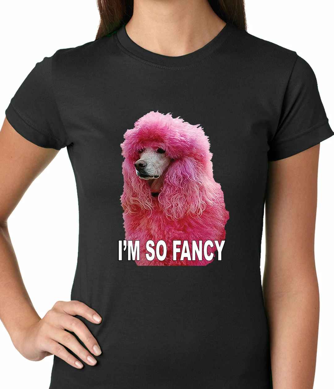 Bewild I'm So Fancy - Pink Poodle Ladies T-shirt Cool Funny & Offensive 4 Bewild I'm So Fancy - Pink Poodle Ladies T-shirt Cool Funny & Offensive