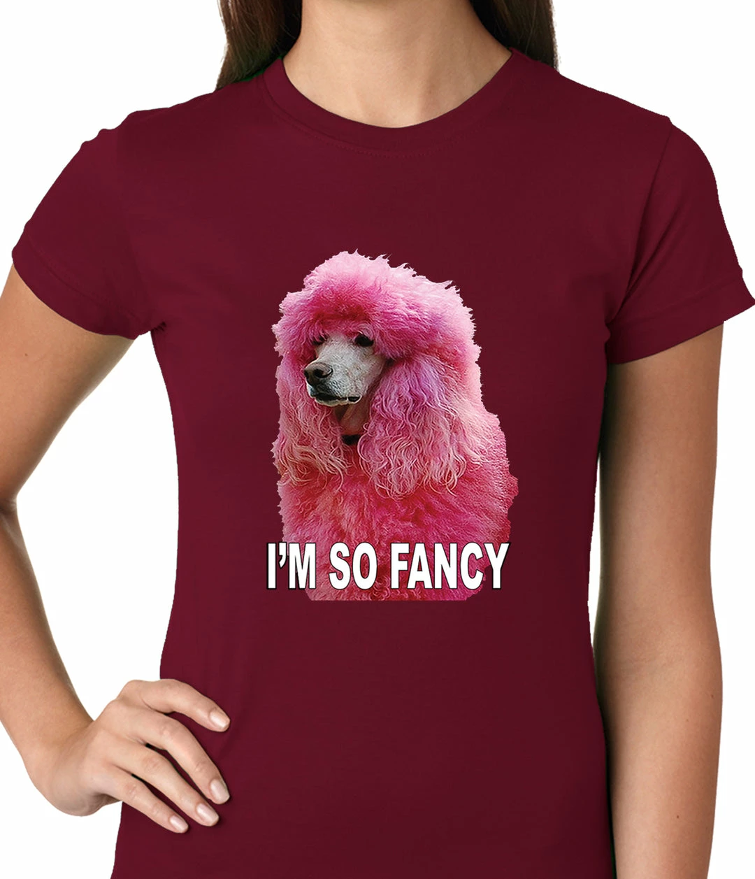 Bewild I'm So Fancy - Pink Poodle Ladies T-shirt Cool Funny & Offensive 9 Bewild I'm So Fancy - Pink Poodle Ladies T-shirt Cool Funny & Offensive