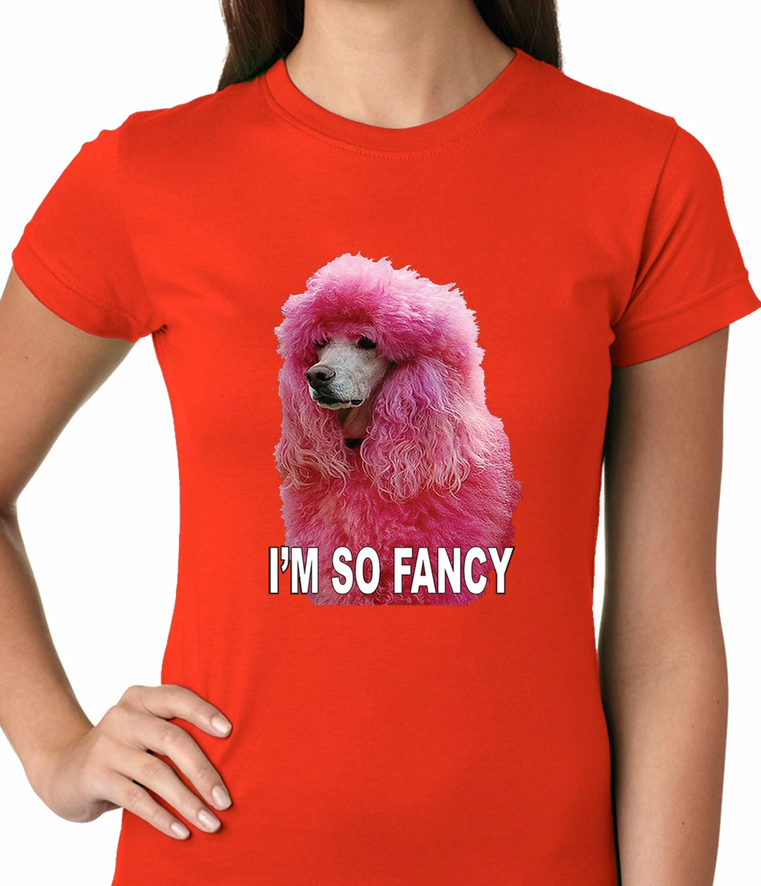Bewild I'm So Fancy - Pink Poodle Ladies T-shirt Cool Funny & Offensive 11 Bewild I'm So Fancy - Pink Poodle Ladies T-shirt Cool Funny & Offensive