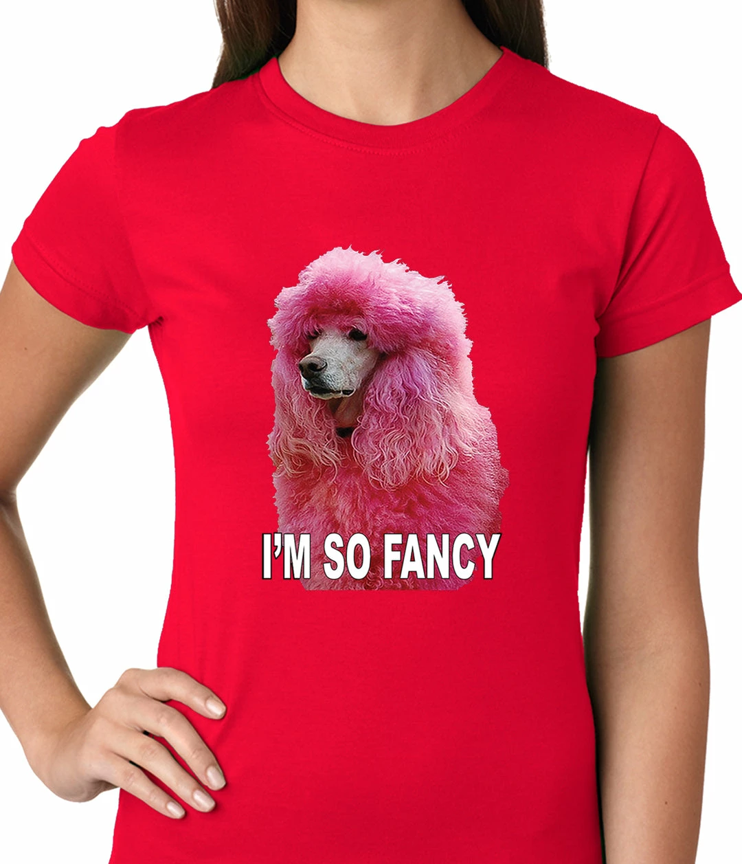 Bewild I'm So Fancy - Pink Poodle Ladies T-shirt Cool Funny & Offensive 12 Bewild I'm So Fancy - Pink Poodle Ladies T-shirt Cool Funny & Offensive