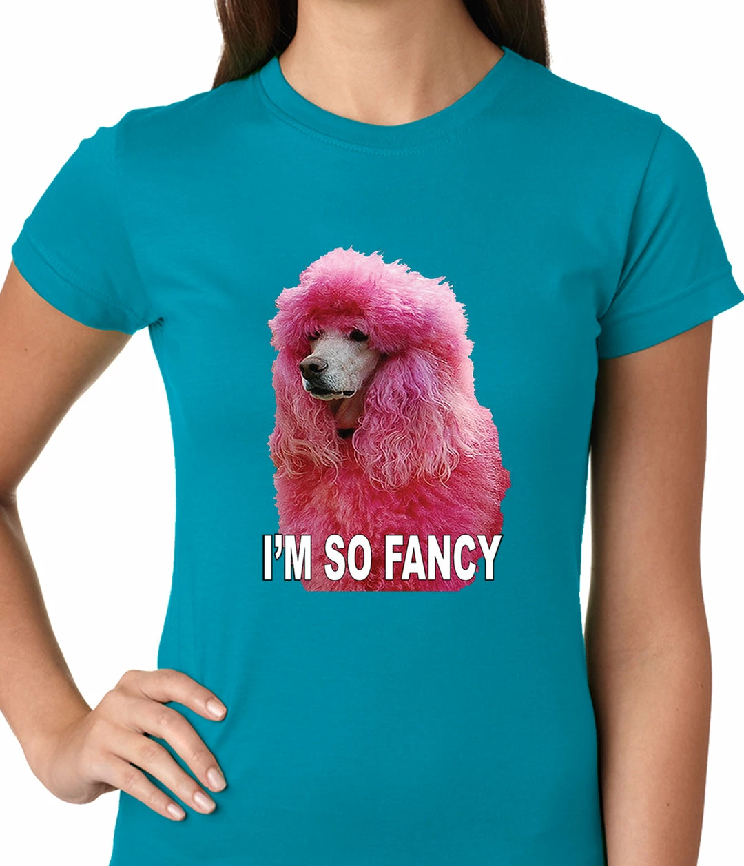 Bewild I'm So Fancy - Pink Poodle Ladies T-shirt Cool Funny & Offensive 13 Bewild I'm So Fancy - Pink Poodle Ladies T-shirt Cool Funny & Offensive