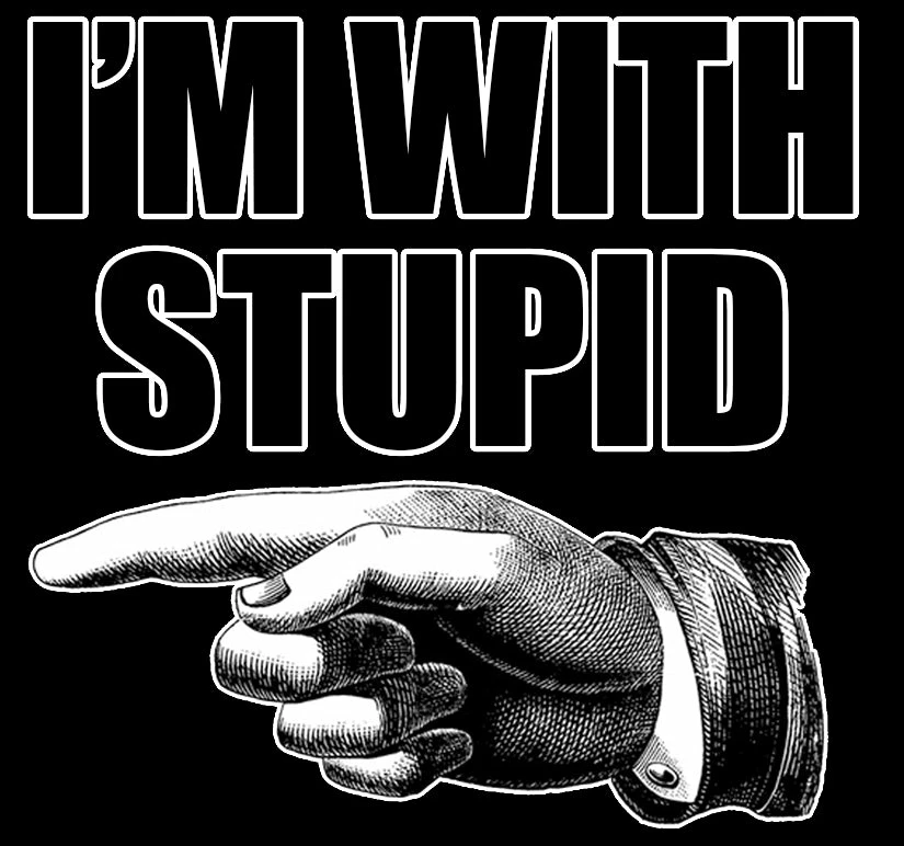 Bewild I'm With Stupid Adult Hoodie Cool Funny & Offensive 13 Bewild I'm With Stupid Adult Hoodie Cool Funny & Offensive