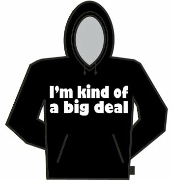 Bewild Im Kind Of A Big Deal Hoodie 3 Bewild Im Kind Of A Big Deal Hoodie