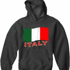 Bewild Italy Vintage Flag Adult Hoodie
