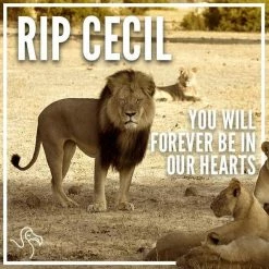 Bewild Justice For Cecil The Lion Adult Crewneck