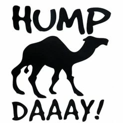 Bewild Cool Funny & Offensive Kids Hump Day Camel T-Shirt