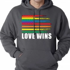 Bewild Love Wins - Gay Marriage Equality Adult Hoodie Positive Reinforcement