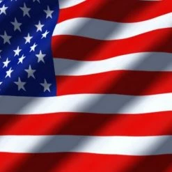 Bewild Nationality & Ethnic Made In The USA Men's T-Shirt (Black)