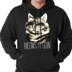 Bewild Meow's It Going Funny Cat Adult Hoodie Cool Funny & Offensive