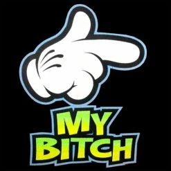 Bewild Cool Funny & Offensive My Bitch Adult Hoodie