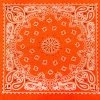 Bewild Neon Orange Bandana (Glows Under Black Light) Bandannas