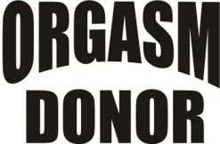 Bewild Orgasm Doner T-Shirt Cool Funny & Offensive