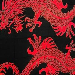 Bewild Oriental Twin Dragon Tapestry Tapestries