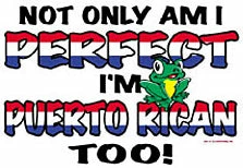 Bewild Perfect And Puerto Rican Girls T-Shirt