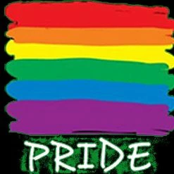 Bewild Positive Reinforcement Rainbow Pride Colors Girl's T-Shirt