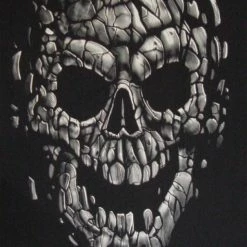 Bewild Stone Skull Pieces T-Shirt Liquid Blue