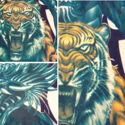 Bewild Illusion Tattoos Tattoo Sleeves - Tiger Vs. Dragon Temporary Tattoo Sleeves (Pair)