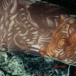 Bewild Tattoo Sleeves - Vicious Tigers And Dragon Tattoo Sleeves (Pair) Illusion Tattoos