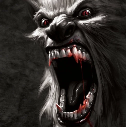 Bewild The Werewolf Big Face Men's T-Shirt 7 Bewild The Werewolf Big Face Men's T-Shirt