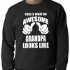 Bewild This Is What An Awesome Grandpa Looks Like Adult Crewneck Positive Reinforcement