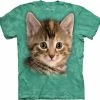 Bewild Tyler The Kitten Big Face Men's T-Shirt
