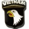 Bewild Lapel Pins Vietnam Eagle Lapel Pin