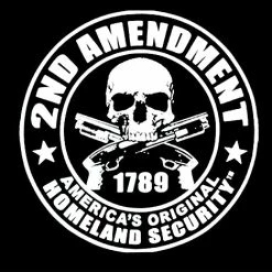 Bewild 2nd Amendment Homeland Security Adult Hoodie Cool Funny & Offensive