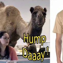 Bewild Hump Day Camel Men's T- Shirt
