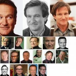 Bewild Robin Williams Tribute Mens T-shirt 27 Bewild Robin Williams Tribute Mens T-shirt