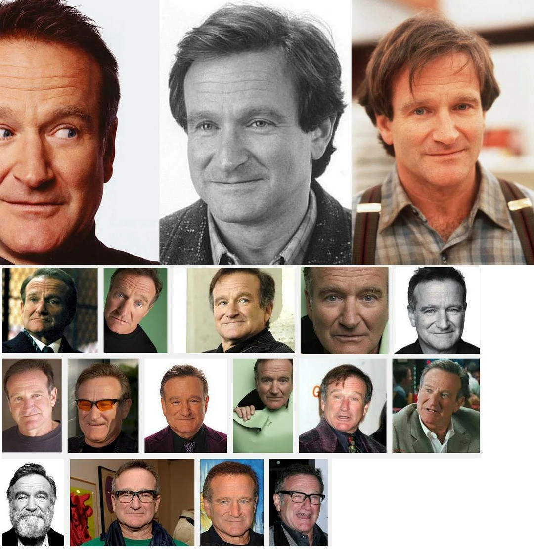 Bewild Robin Williams Tribute Mens T-shirt 15 Bewild Robin Williams Tribute Mens T-shirt