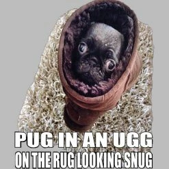 Bewild Pug In An Ugg On A Rug Looking Snug Kids T-shirt Cool Funny & Offensive