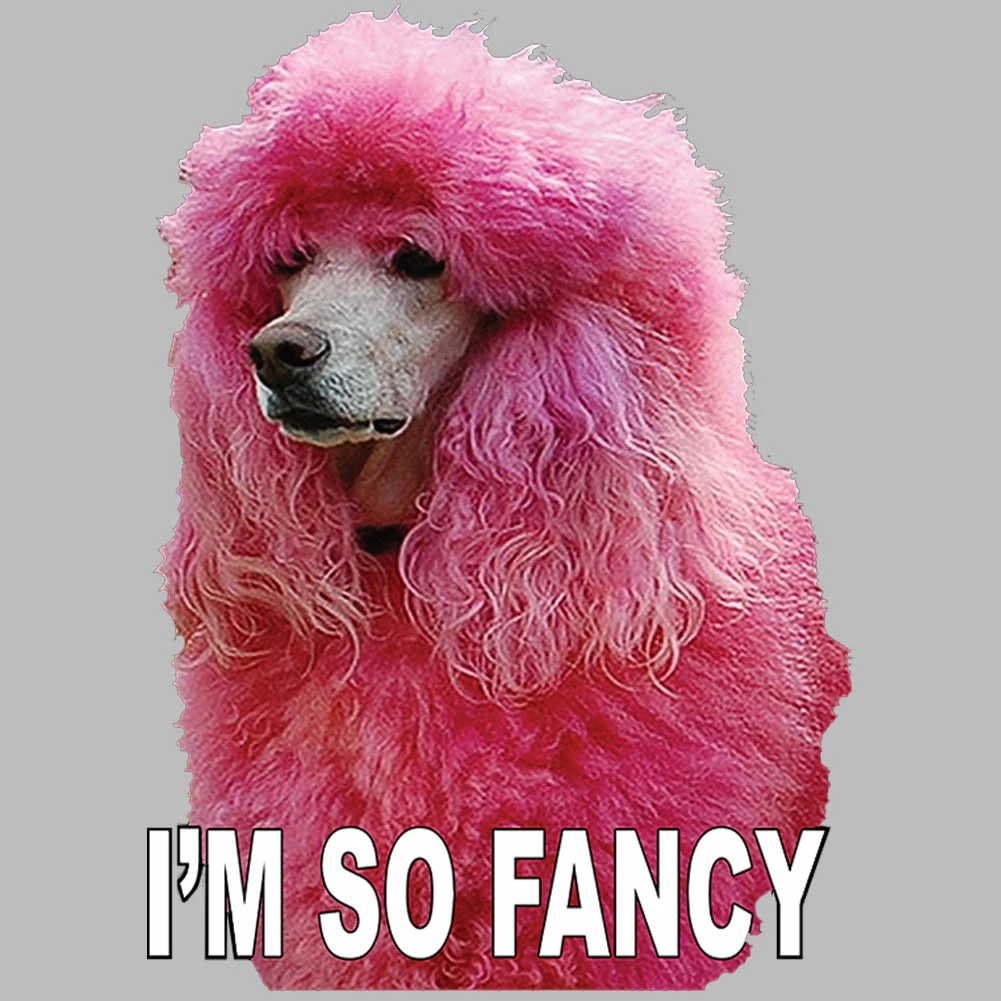 Bewild I'm So Fancy - Pink Poodle Ladies T-shirt Cool Funny & Offensive 14 Bewild I'm So Fancy - Pink Poodle Ladies T-shirt Cool Funny & Offensive