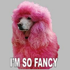 Bewild I'm So Fancy - Pink Poodle Tote Bag Cool Funny & Offensive 21 Bewild I'm So Fancy - Pink Poodle Tote Bag Cool Funny & Offensive