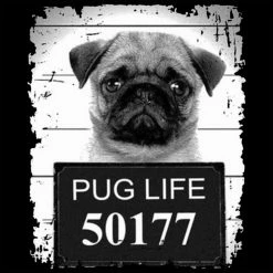 Bewild Mug Shot Pug Life Funny Tote Bag Cool Funny & Offensive