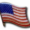Bewild Waving American Flag Lapel Pin
