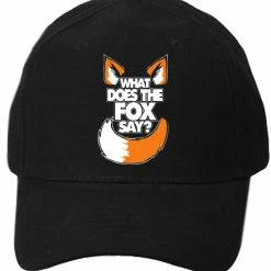 Bewild What Does The Fox Say? YLVIS YouTube Video Baseball Hat Brimmed Hats