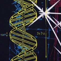 Bewild Xzavier Da Grind